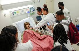 Best Affordable Cars for Students Pakistan 2025